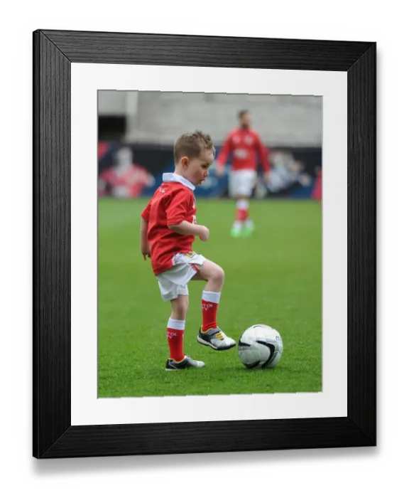 Framed Print : Mascots Face Off: Bristol City vs Barnsley in Sky Bet League One at Ashton Gate, 28 March 2015 Framed Print : Mascots Face Off: Bristol City vs Barnsley in Sky Bet League One at Ashton Gate, 28 March 2015