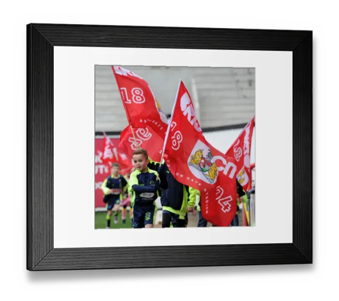 Framed Print : Mascots of Hutton JFC Celebrate Half-Time at Ashton Gate Stadium