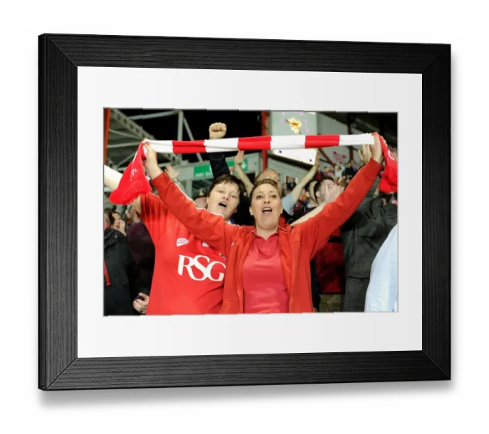Framed Print : Bristol City Fans Go Wild: Joe Bryan Scores the Winning Goal Against Swindon Town, April 2015 Framed Print : Bristol City Fans Go Wild: Joe Bryan Scores the Winning Goal Against Swindon Town, April 2015