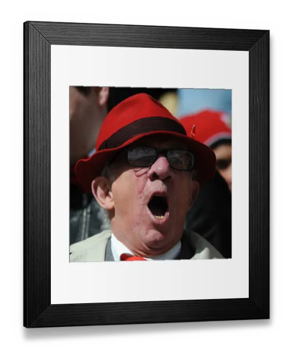Framed Print : Bristol City Fan's Euphoric Moment as City Secures Victory over Preston North End (April 11, 2015) Framed Print : Bristol City Fan's Euphoric Moment as City Secures Victory over Preston North End (April 11, 2015)
