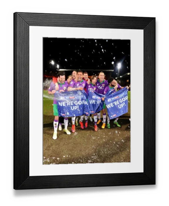Framed Print : The Intense Rivalry: Bradford City vs. Bristol City - The Battle for Promotion, Sky Bet League One, April 14, 2015 Framed Print : The Intense Rivalry: Bradford City vs. Bristol City - The Battle for Promotion, Sky Bet League One, April 14, 2015