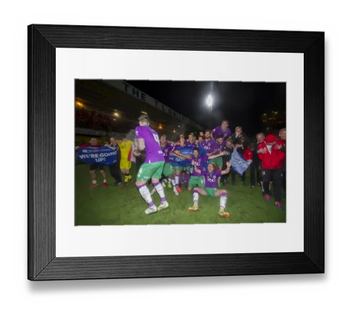 Framed Print : Bristol City's Promotion Triumph: Beating Bradford in the Sky Bet League One Final
