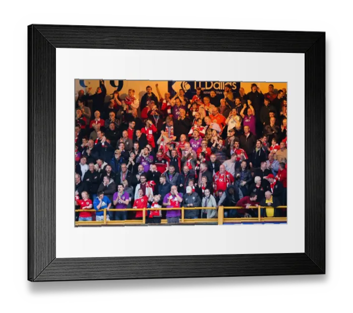 Framed Print : Bradford City vs. Bristol City: Fans Celebrate Second Goal (Promotion Battle) Framed Print : Bradford City vs. Bristol City: Fans Celebrate Second Goal (Promotion Battle)