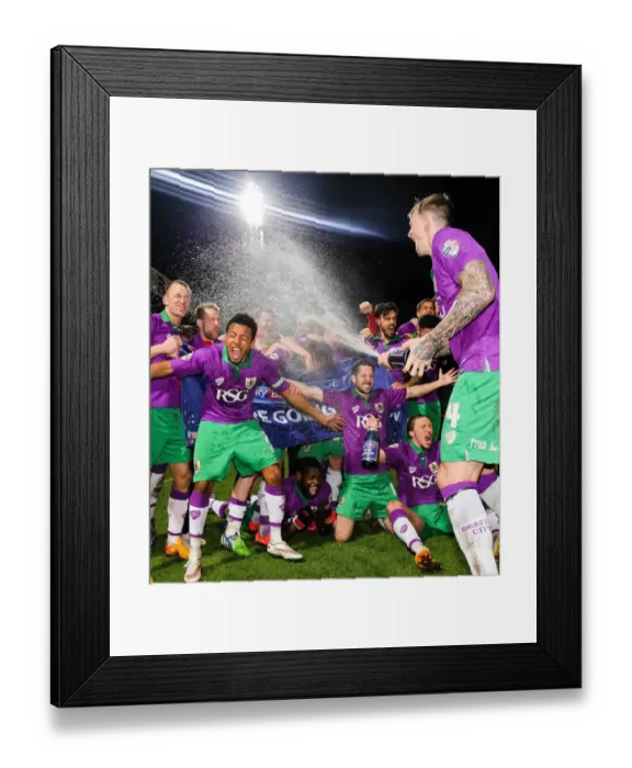 Framed Print : Bristol City's Promotion Euphoria: Celebrating Victory over Bradford City (April 14, 2015) Framed Print : Bristol City's Promotion Euphoria: Celebrating Victory over Bradford City (April 14, 2015)