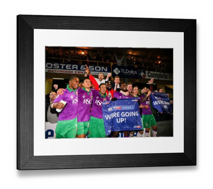 Framed Print : Bristol City's Promotion Celebration: Triumph at Bradford City's Valley Parade
