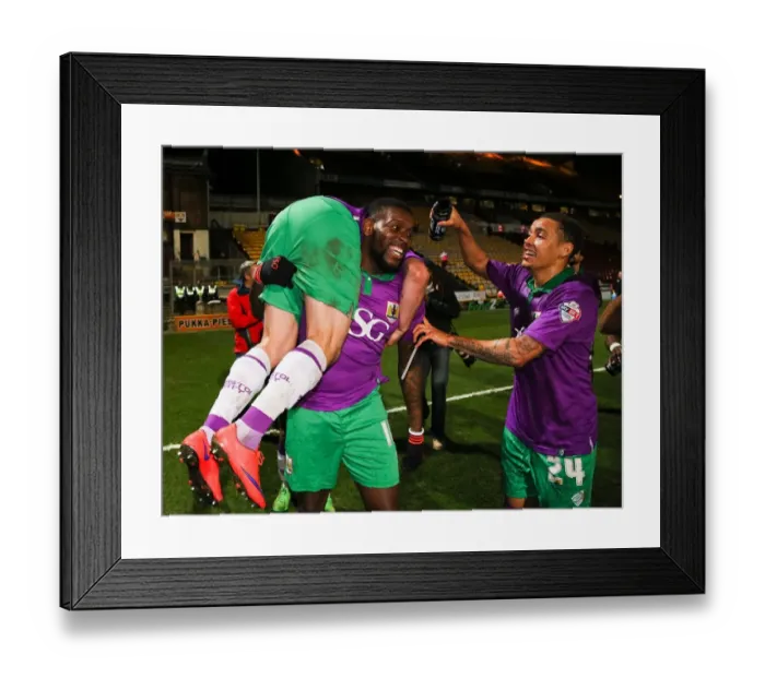 Framed Print : Bristol City's Promotion Triumph: The Euphoric Moment at Valley Parade