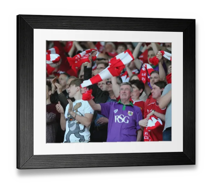 Framed Print : Sea of Supporters: Bristol City vs Coventry City, Ashton Gate, 2015 - Football Rivalry in Full Swing Framed Print : Sea of Supporters: Bristol City vs Coventry City, Ashton Gate, 2015 - Football Rivalry in Full Swing