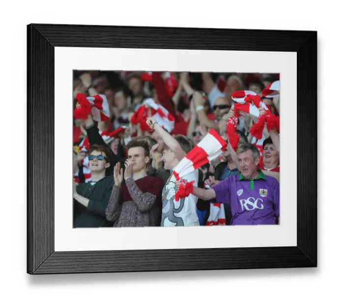 Framed Print : Intense Rivalry: Bristol City vs Coventry City Football Match, League One, Ashton Gate (180415) Framed Print : Intense Rivalry: Bristol City vs Coventry City Football Match, League One, Ashton Gate (180415)