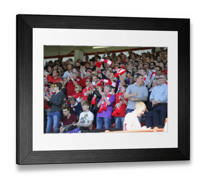 Framed Print : Sea of Supporters: Bristol City vs Coventry City, Ashton Gate, 2015 - Football Match Fans