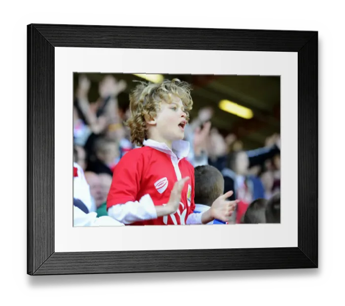 Framed Print : Sea of Supporters: Bristol City vs Coventry City at Ashton Gate, 2015 Framed Print : Sea of Supporters: Bristol City vs Coventry City at Ashton Gate, 2015
