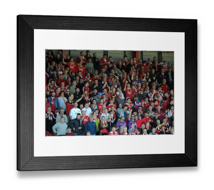 Framed Print : Sea of Passion: A Sea of Bristol City Fans at Ashton Gate (April 2015)