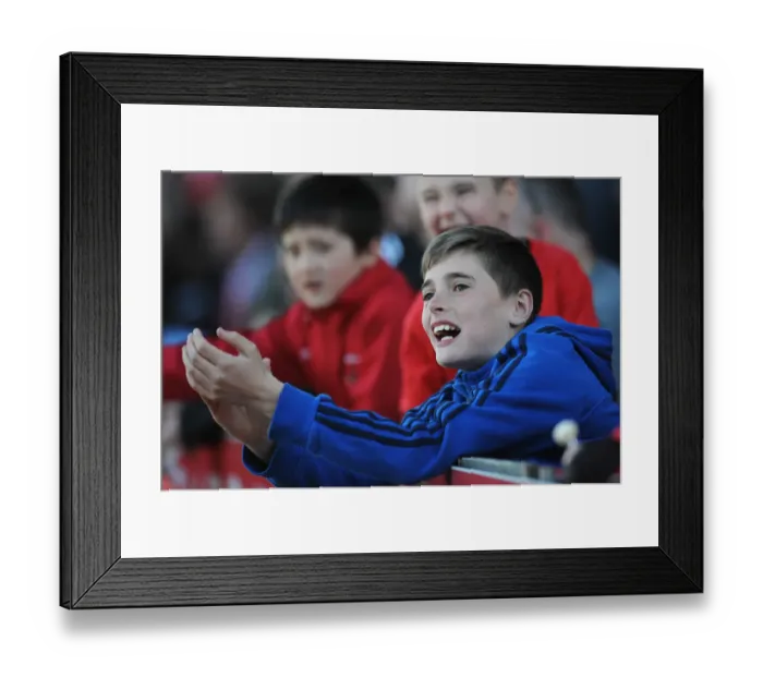 Framed Print : Bristol City vs Coventry City: A Sea of Passionate Fans at Ashton Gate, 2015 Framed Print : Bristol City vs Coventry City: A Sea of Passionate Fans at Ashton Gate, 2015