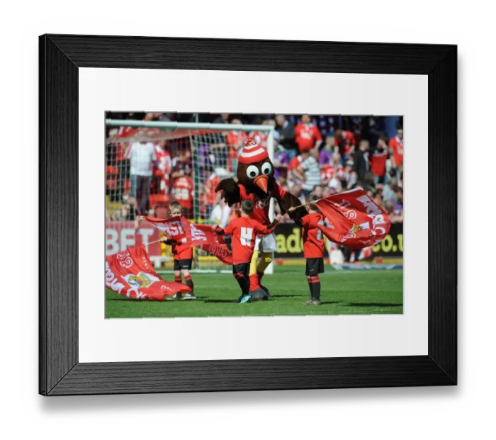 Framed Print : Bristol City Fans Celebrate with Scrumpy and Flagbearers vs Coventry City, 2015