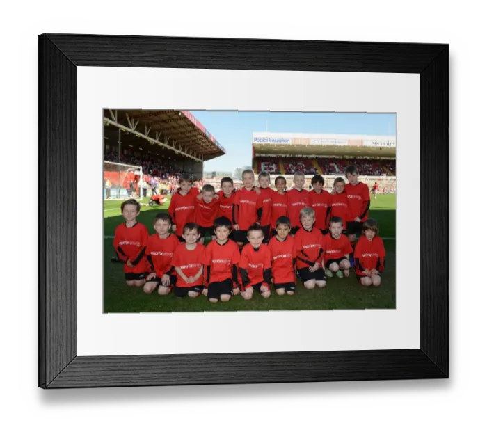 Framed Print : Reigniting the Rivalry: Bristol City vs Coventry City Showdown at Ashton Gate, 2015 - A Football Battle Framed Print : Reigniting the Rivalry: Bristol City vs Coventry City Showdown at Ashton Gate, 2015 - A Football Battle