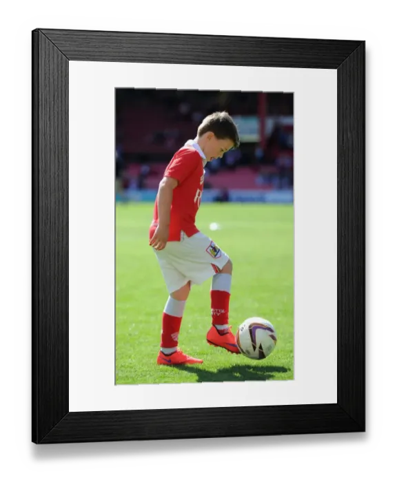 Framed Print : Excitement at Ashton Gate: Bristol City vs Coventry City Football Rivalry, 2015 (Mascot Edition) Framed Print : Excitement at Ashton Gate: Bristol City vs Coventry City Football Rivalry, 2015 (Mascot Edition)