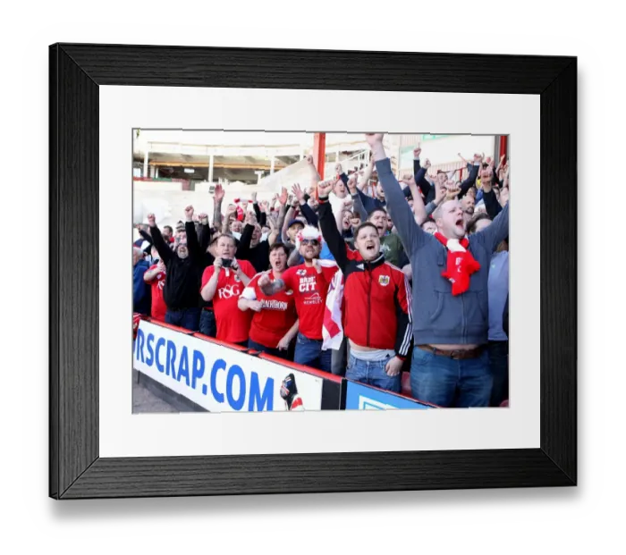Framed Print : Bristol City Celebrates Promotion: Thrilling Moment at Ashton Gate after Win against Coventry City (180415)
