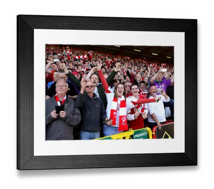 Framed Print : Bristol City FC: Celebrating Promotion to Sky Bet League One Championship Framed Print : Bristol City FC: Celebrating Promotion to Sky Bet League One Championship