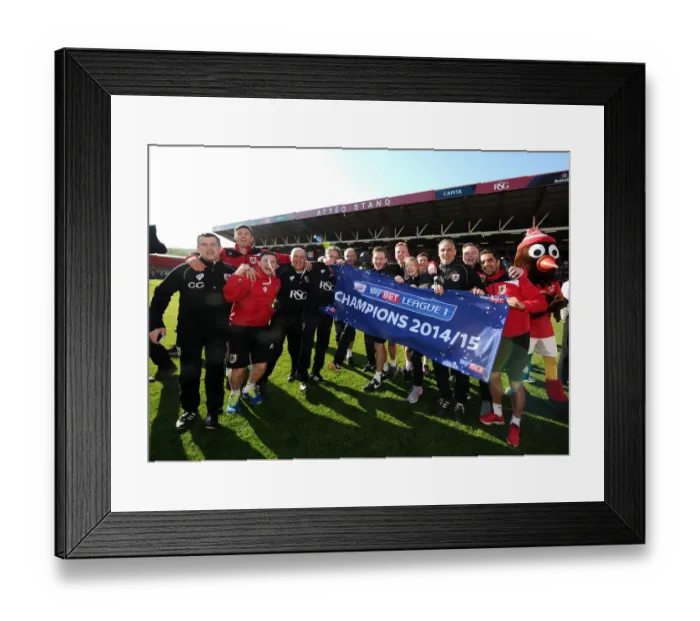 Framed Print : Bristol City FC: Champions League One Victory Celebrations (180415) Framed Print : Bristol City FC: Champions League One Victory Celebrations (180415)