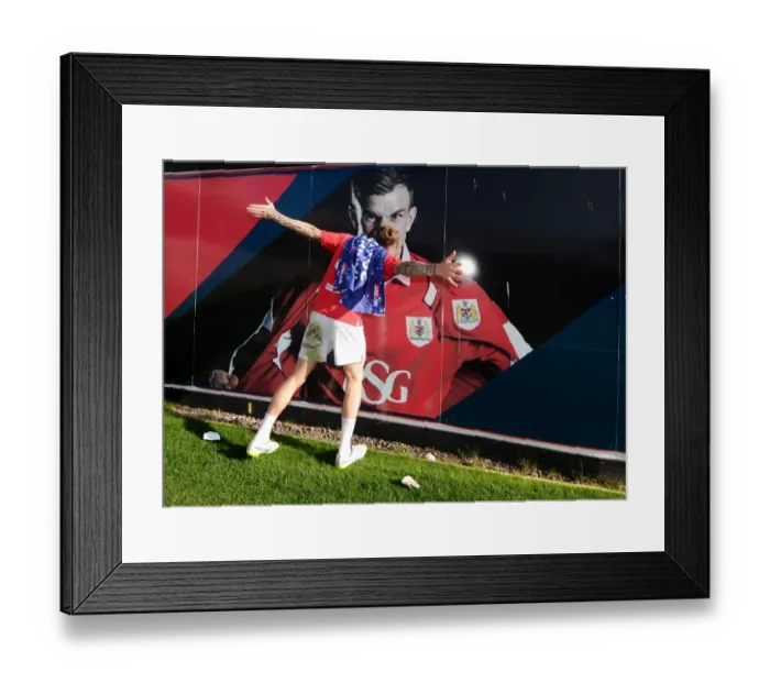Framed Print : Bristol City Crowned Champions: Aden Flint's Emotional Moment at Ashton Gate (April 18, 2015) Framed Print : Bristol City Crowned Champions: Aden Flint's Emotional Moment at Ashton Gate (April 18, 2015)