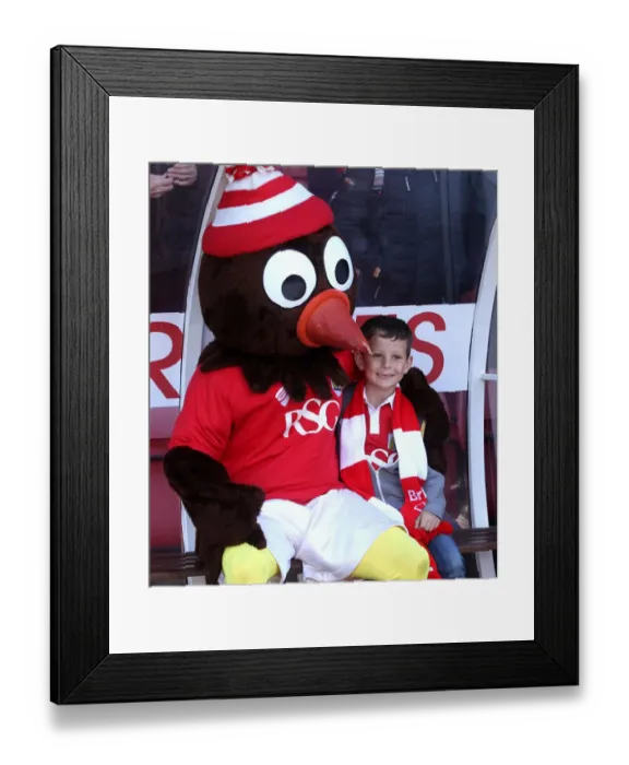 Framed Print : Bristol City Fans Celebrate with Robin Mascot after Win against Coventry City, 18th April 2015