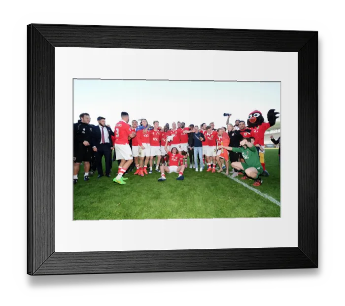 Framed Print : Bristol City FC: Celebrating League One Championship Glory (April 2015) Framed Print : Bristol City FC: Celebrating League One Championship Glory (April 2015)