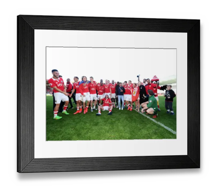 Framed Print : Bristol City FC: Champions Euphoria at Ashton Gate