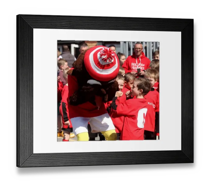 Framed Print : Young Fan Playfully Fights with Bristol City's Robin Mascot during Sky Bet League One Match against Coventry City Framed Print : Young Fan Playfully Fights with Bristol City's Robin Mascot during Sky Bet League One Match against Coventry City