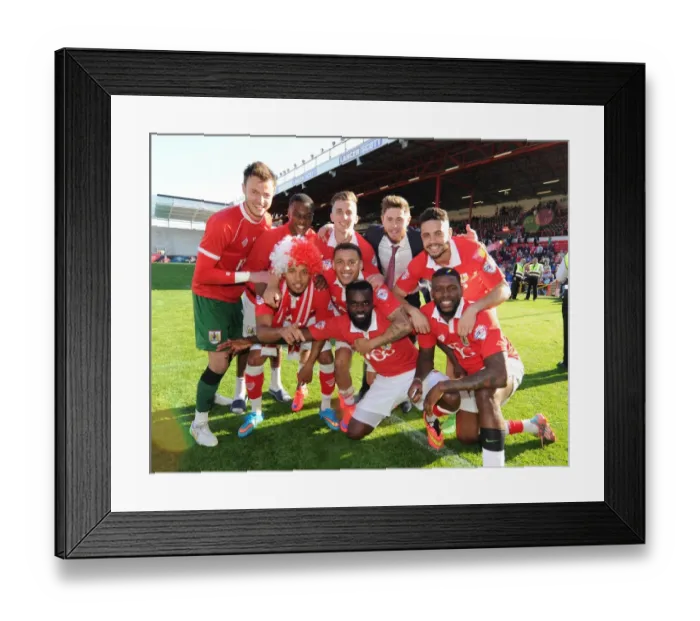 Framed Print : Bristol City Crowned League One Champions: Euphoric Celebrations after Draw with Coventry City Framed Print : Bristol City Crowned League One Champions: Euphoric Celebrations after Draw with Coventry City