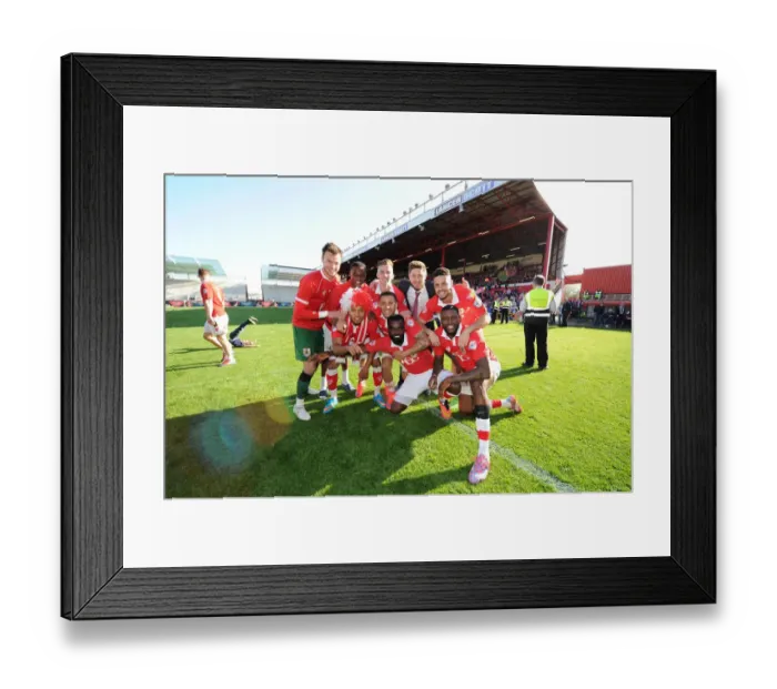 Framed Print : Celebrating Victory: The Excited Bristol City Squad after Securing Three Points against Coventry City, 18th April 2015 Framed Print : Celebrating Victory: The Excited Bristol City Squad after Securing Three Points against Coventry City, 18th April 2015