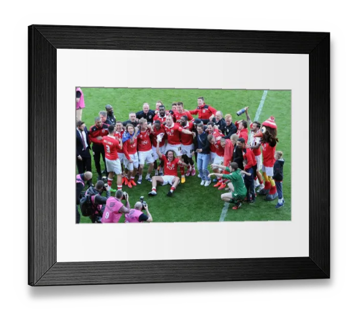 Framed Print : Bristol City Football Club: Triumphant Celebrations at Ashton Gate after Securing Victory over Coventry City (18 / 04 / 2015) Framed Print : Bristol City Football Club: Triumphant Celebrations at Ashton Gate after Securing Victory over Coventry City (18 / 04 / 2015)