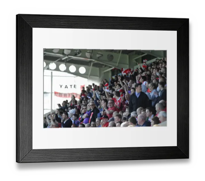 Framed Print : Bristol City's Thrilling Promotion Celebration at Proact Stadium (2015)