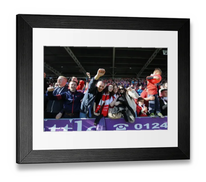 Framed Print : Bristol City's Euphoric Celebration at Proact Stadium after Securing Promotion to Sky Bet Championship (25.04.2015) Framed Print : Bristol City's Euphoric Celebration at Proact Stadium after Securing Promotion to Sky Bet Championship (25.04.2015)