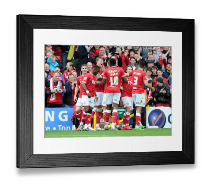 Framed Print : Aden Flint's Goal Celebration: Packed Williams Stand Roars at Ashton Gate - Bristol City vs Walsall, Sky Bet League One Framed Print : Aden Flint's Goal Celebration: Packed Williams Stand Roars at Ashton Gate - Bristol City vs Walsall, Sky Bet League One