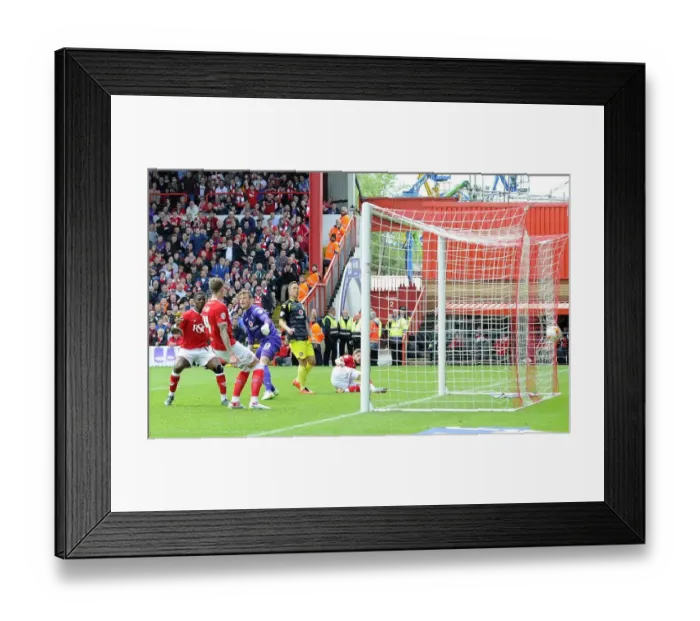 Framed Print : Aden Flint's Hat-Trick: Thrilling Sky Bet League One Victory for Bristol City over Walsall (May 3, 2015) Framed Print : Aden Flint's Hat-Trick: Thrilling Sky Bet League One Victory for Bristol City over Walsall (May 3, 2015)