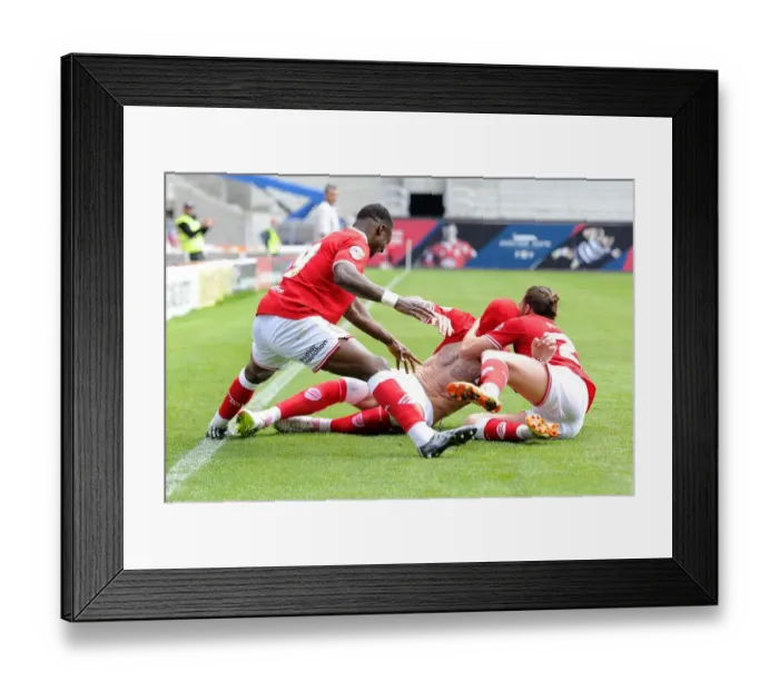 Framed Print : Aden Flint's Hat-trick Heroics: Bristol City's Glory Over Walsall in Sky Bet League One (03 / 05 / 2015) Framed Print : Aden Flint's Hat-trick Heroics: Bristol City's Glory Over Walsall in Sky Bet League One (03 / 05 / 2015)