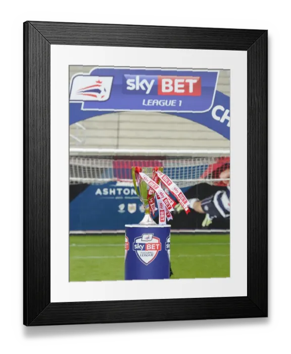 Framed Print : Bristol City FC Celebrates Promotion to Sky Bet League One after Winning against Walsall (03 / 05 / 2015)