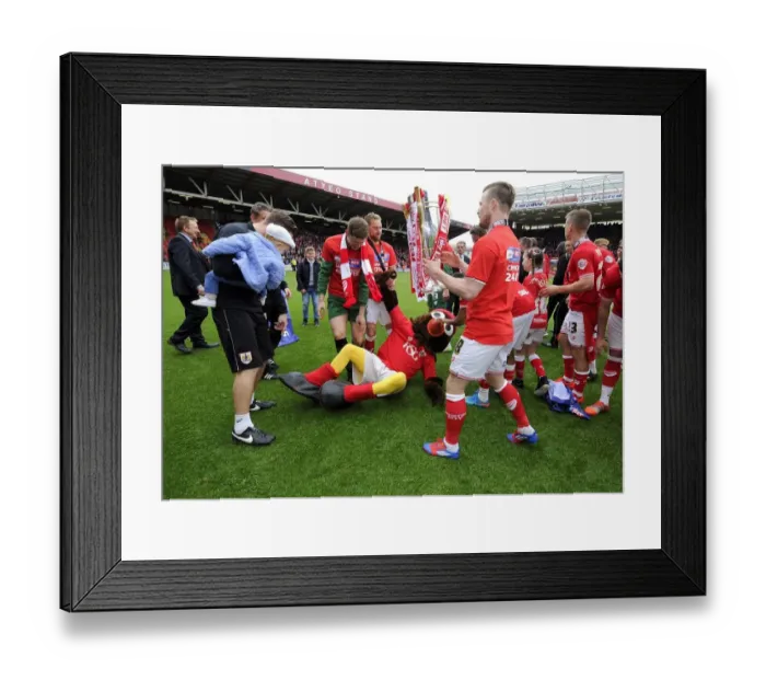 Framed Print : Bristol City vs Walsall Clash in Sky Bet League One at Ashton Gate - May 2015 Framed Print : Bristol City vs Walsall Clash in Sky Bet League One at Ashton Gate - May 2015