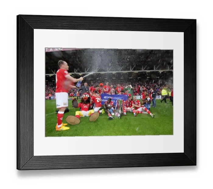 Framed Print : Bristol City Clinch League One Title in Thrilling 8-2 Victory Over Walsall Framed Print : Bristol City Clinch League One Title in Thrilling 8-2 Victory Over Walsall
