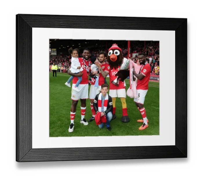 Framed Print : Fierce Rivalry: Bristol City vs Walsall in Sky Bet League One Clash at Ashton Gate (May 2015) Framed Print : Fierce Rivalry: Bristol City vs Walsall in Sky Bet League One Clash at Ashton Gate (May 2015)