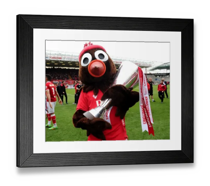 Framed Print : Double Victory: Bristol City's Championship Celebration with League One and JPT Trophies Framed Print : Double Victory: Bristol City's Championship Celebration with League One and JPT Trophies