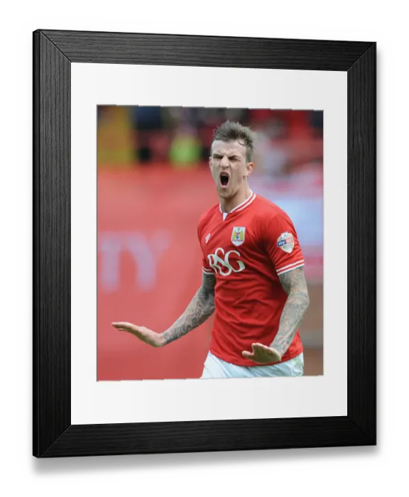 Framed Print : Aden Flint's Thrilling Goal: Bristol City's Sky Bet League One Victory over Walsall (May 2015) Framed Print : Aden Flint's Thrilling Goal: Bristol City's Sky Bet League One Victory over Walsall (May 2015)