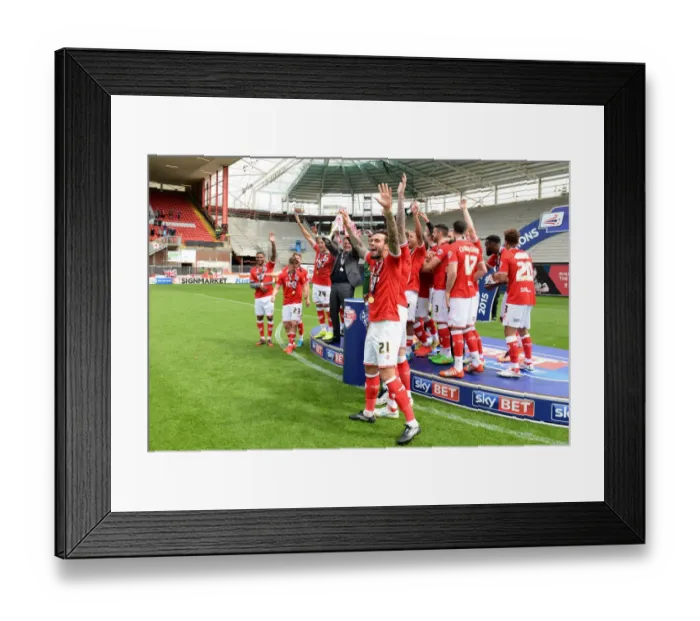 Framed Print : Bristol City: League One Champions - Celebrating Victory at Ashton Gate Framed Print : Bristol City: League One Champions - Celebrating Victory at Ashton Gate