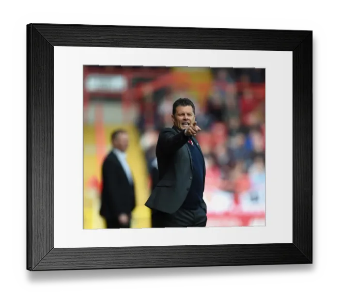 Framed Print : Steve Cotterill Leads Bristol City in Sky Bet League One Clash Against Walsall, May 2015