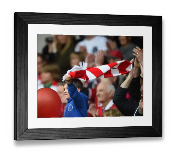 Framed Print : Bristol City FC: Celebrating Sky Bet League One Victory over Walsall (May 2015) Framed Print : Bristol City FC: Celebrating Sky Bet League One Victory over Walsall (May 2015)