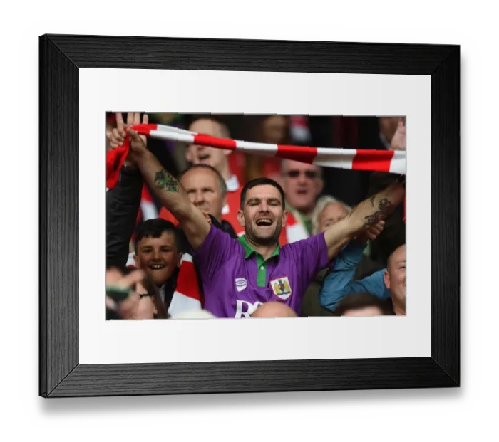 Framed Print : Bristol City FC: Celebrating League One Victory at Ashton Gate Stadium (3 May 2015) Framed Print : Bristol City FC: Celebrating League One Victory at Ashton Gate Stadium (3 May 2015)