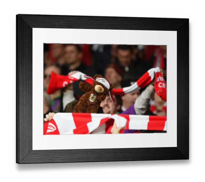 Framed Print : Bristol City vs Walsall Clash at Ashton Gate Stadium (Sky Bet League One, May 2015)