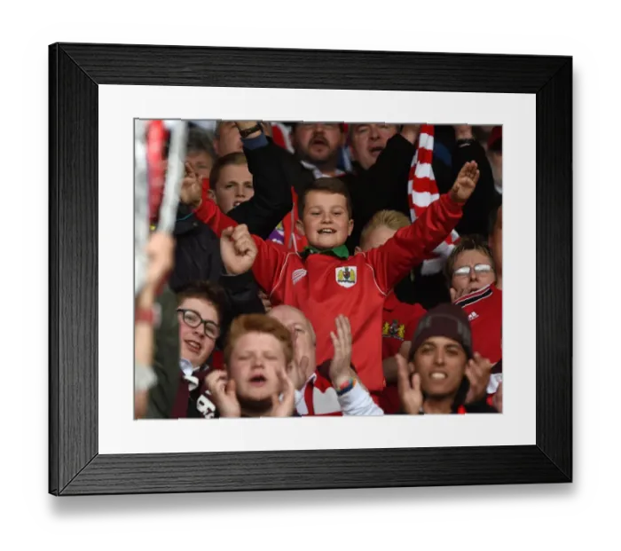 Framed Print : Bristol City FC: Euphoric Fans Celebrate Sky Bet League One Victory Framed Print : Bristol City FC: Euphoric Fans Celebrate Sky Bet League One Victory