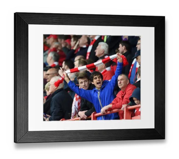 Framed Print : Bristol City's Title Triumph: A Sea of Euphoria at Ashton Gate Framed Print : Bristol City's Title Triumph: A Sea of Euphoria at Ashton Gate
