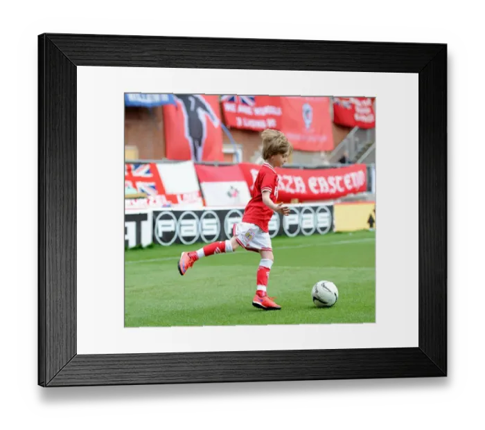 Framed Print : Bristol City vs Walsall Clash at Ashton Gate Stadium, Sky Bet League One (May 2015)