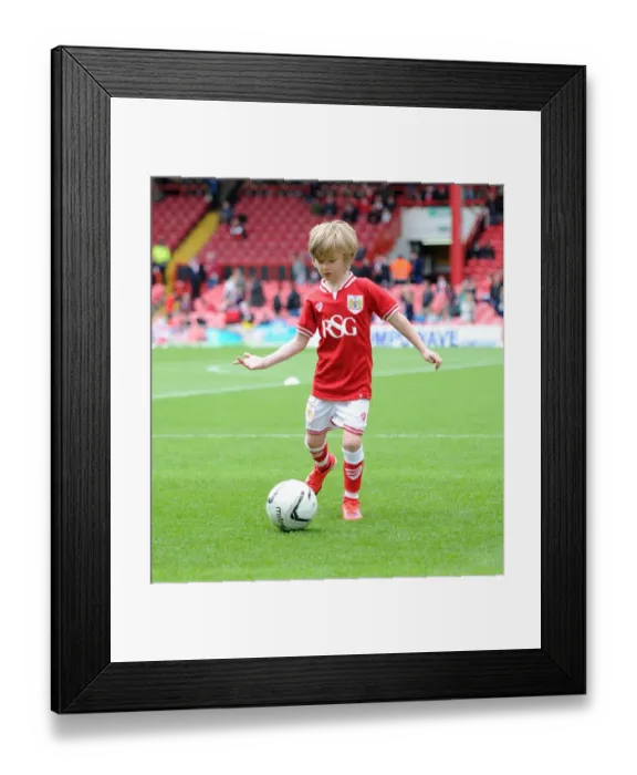 Framed Print : Fierce Rivalry: Bristol City vs Walsall in Sky Bet League One Clash (May 2015) Framed Print : Fierce Rivalry: Bristol City vs Walsall in Sky Bet League One Clash (May 2015)